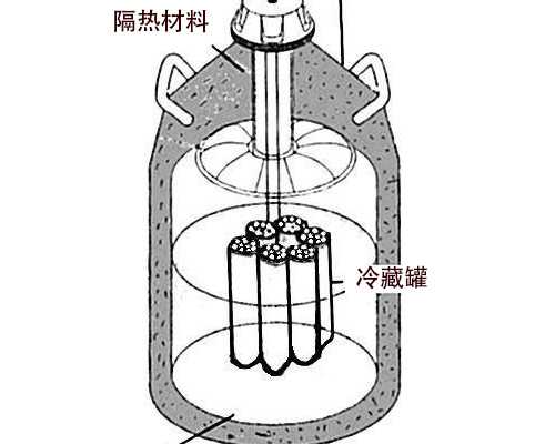 简单但真的有用（卵巢早衰版） 代孕需要结婚证吗