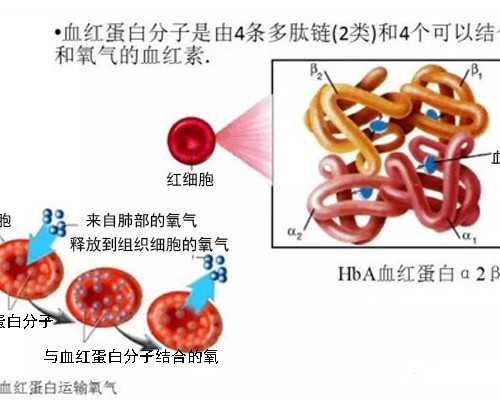 为什么现在很多女生卵巢早衰 湖南专业供卵网
